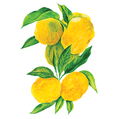 Сироп Юзу ProffSyrup