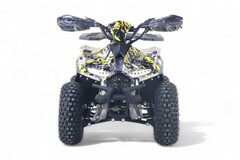 Детский электрический квадроцикл RiverToys LEON 1200W