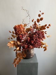 Композиция в кашпо Леукадендрон