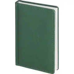 Ежедневник датированный 2026, зеленый,А6, 100х150 мм,336 стр,Agenda