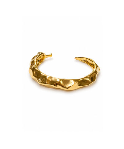 Браслет Перец gold