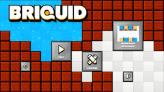 Briquid (для ПК, цифровой код доступа)