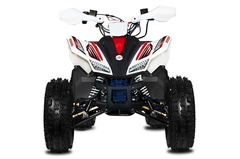 Квадроцикл Sharmax Cross 180CC