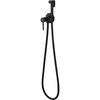 Abber Wasser Kreis AF8125B Смеситель с гигиеническим душем, цвет: черный матовый