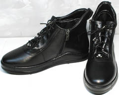 Стильные женские ботинки Evromoda 375-1019 SA Black