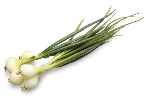 Лук молодой фермерский~250г