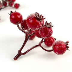 №2 Ягоды Шиповника зонтиком в сахарной обсыпке, на ветке 9 ягод по 15 мм, набор 5 шт.