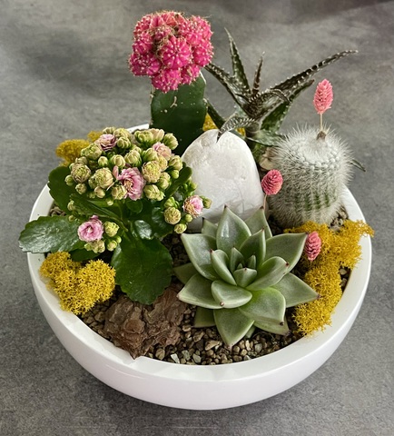 Композиция из суккулентов «Розовые розы»