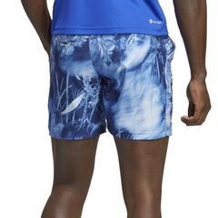 Теннисные шорты Adidas Melbourne Ergo Tennis Graphic Shorts - multicolor/victory blue/white