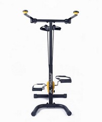 Велотренажер двойной DFC B810Y dual bike