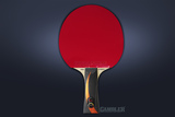 Ракетка Gambler X FAST CARBON X3D (коническая) фото №2