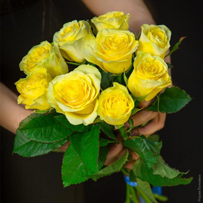 Букет 9 желтых роз Пенни Лейн