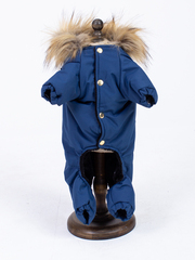 Royal Dog зимний костюм Королевский синий M