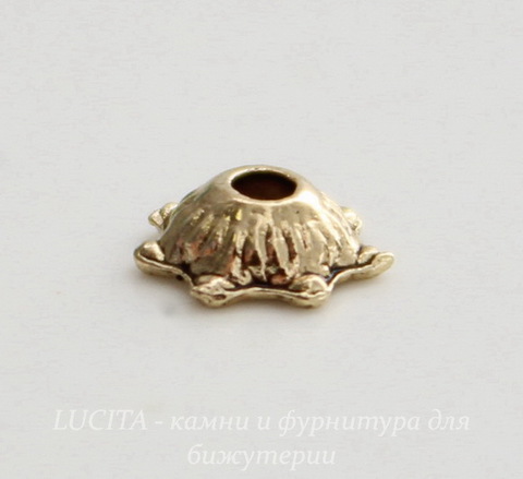 Шапочка для бусины  (цвет - античное золото) 6 мм, 10 штук