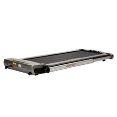 Беговая дорожка для дома EVO FITNESS X500