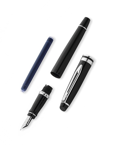 Ручка перьевая Waterman Expert Black CT, F (S0951740)