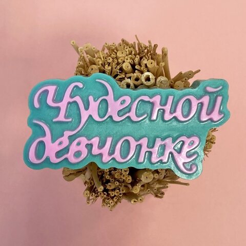 Пластиковая форма 