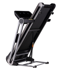 Беговая дорожка Larsen Newtone E2010