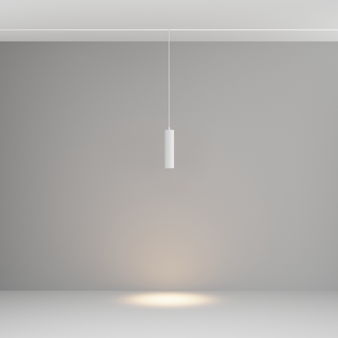 Трековый подвесной светильник Maytoni Focus led TR041-2-12W3K-W