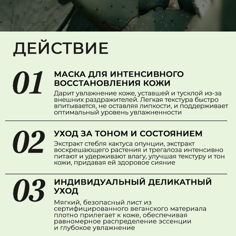 Набор увлажняющих тканевых масок JMsolution Be Nature Cactus & Moisturizing Mask, 10 шт