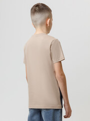 фуфайка  для мальчика  КР 302171/темно-бежевый 1304 к576