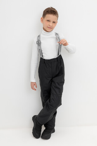 Демисезонные брюки  ВК 46017/24/1 ГР