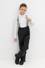 Демисезонные брюки  ВК 46017/24/1 ГР