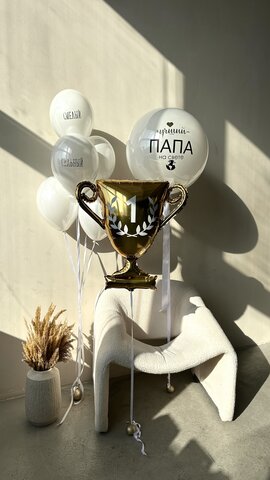 Шары для папы №9