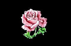 Силиконовый молд 