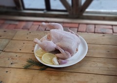 Цыплёнок бройлерный