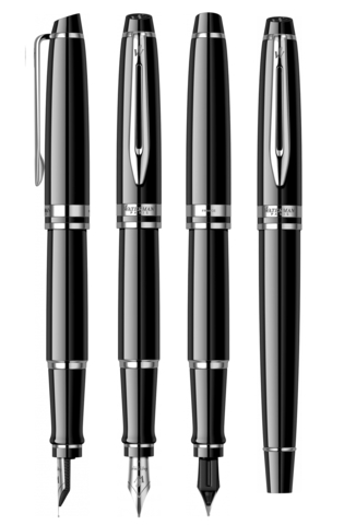 Ручка перьевая Waterman Expert Black CT, F (S0951740)