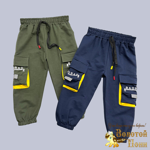 Брюки спортивные м (1-5) 250109-RT1009