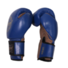 Перчатки  Fight Expert Leather Blue