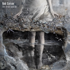 Nad Sylvan / The Bride Said No (2LP+CD)
