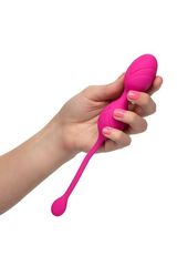 Розовые вагинальные шарики с ДУ и функцией памяти Remote Dual Motor Kegel System - 