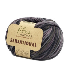 Пряжа Fibra Natura Sensational (40856)