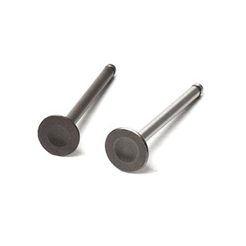 Клапаны (компл. 2шт) 4T 139QMB стандартные d=16/18,5  CN