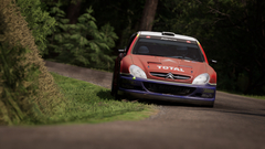 Assetto Corsa Rally (Ранний доступ) (для ПК, цифровой код доступа)