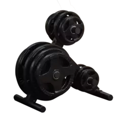 Подставка для олимпийских дисков профессиональная BODY SOLID OWT24