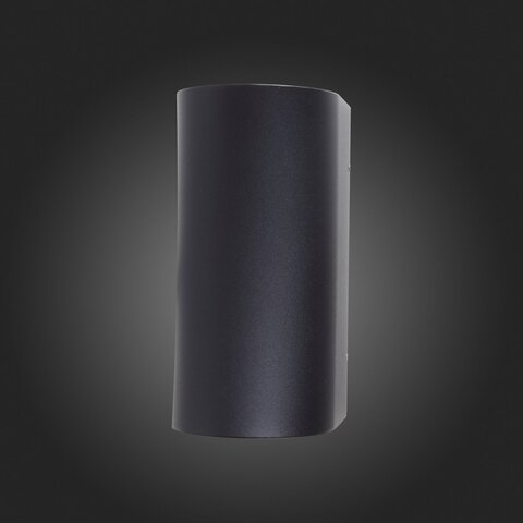Светильник уличный ST Luce Deale SL088.411.02