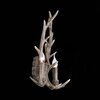 Бра ST Luce Corna SL154.701.02