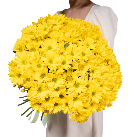 Букет 15 желтых хризантем