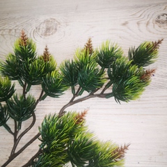 Зелень Бонсай 3 веточки