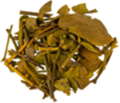 Омела белая (побеги, 50гр.) (Старослав)