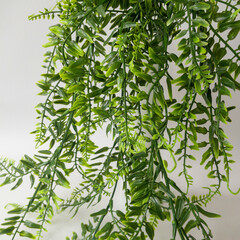 Папоротник, ампельное растение, искусственная зелень, свисающий зеленый, 80 см, набор 1 шт.