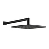Gessi 47286#299 Gessi Emporio Emporio shower Душевая головка для настенного крепления, поворотная, с защитой от известкового налёта, цвет: Black XL