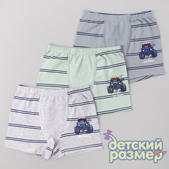 Боксеры