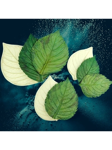 Молды листья универсальные 3шт