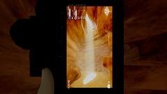 Fomography (для ПК, цифровой код доступа)