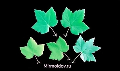 Силиконовый молд 